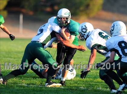 Thumbnail 1 in Burroughs @ Tehachapi photogallery.