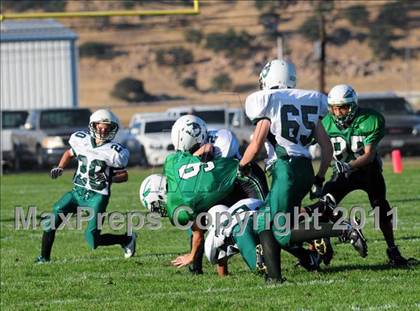 Thumbnail 3 in Burroughs @ Tehachapi photogallery.