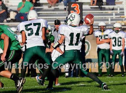 Thumbnail 2 in Burroughs @ Tehachapi photogallery.