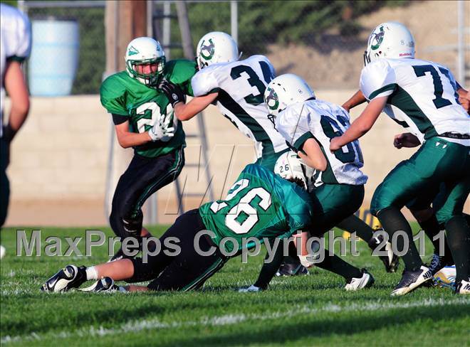 2011 - Photo #11