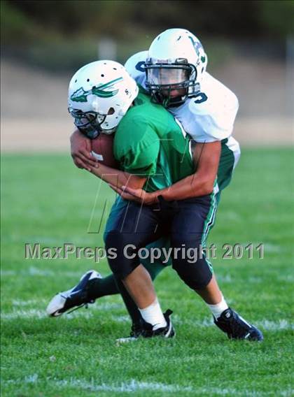 Thumbnail 1 in Burroughs @ Tehachapi photogallery.