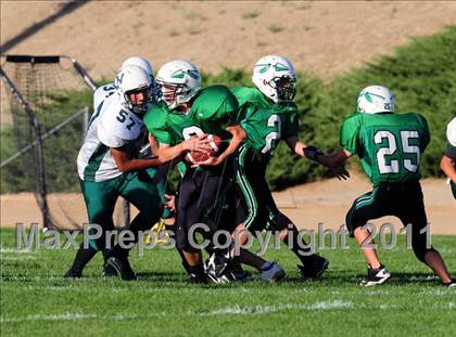 Thumbnail 1 in Burroughs @ Tehachapi photogallery.