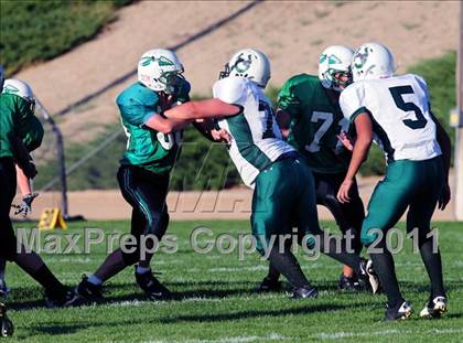 Thumbnail 2 in Burroughs @ Tehachapi photogallery.