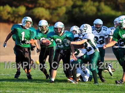 Thumbnail 2 in Burroughs @ Tehachapi photogallery.