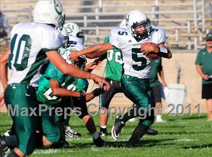 Thumbnail 2 in Burroughs @ Tehachapi photogallery.