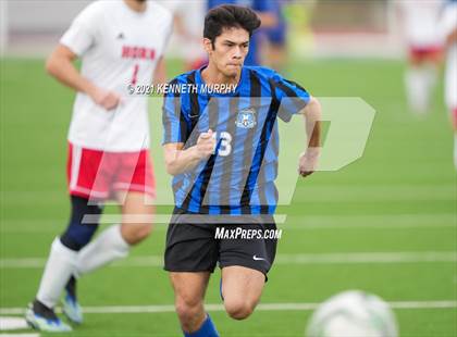 Thumbnail 1 in Horn @ Midlothian photogallery.