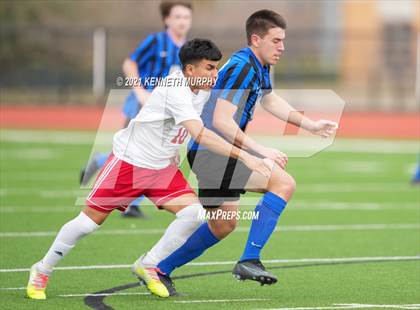 Thumbnail 2 in Horn @ Midlothian photogallery.