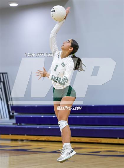 Thumbnail 1 in Pine Crest vs. Gulliver Prep photogallery.