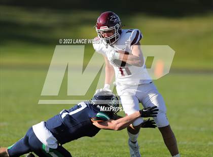 Thumbnail 2 in Golden @ Standley Lake photogallery.