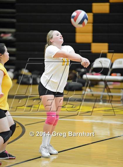 Thumbnail 3 in Rio Linda @ Yuba City photogallery.