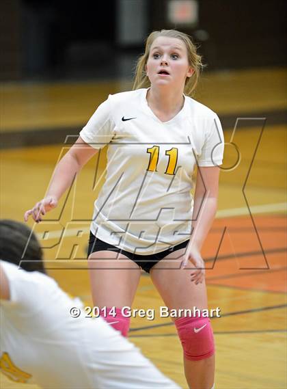 Thumbnail 2 in Rio Linda @ Yuba City photogallery.