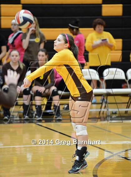 Thumbnail 1 in Rio Linda @ Yuba City photogallery.