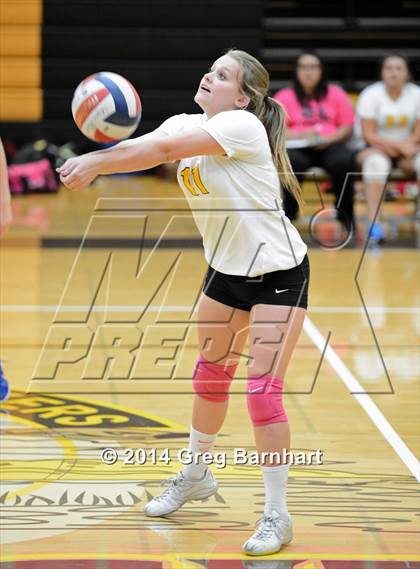 Thumbnail 2 in Rio Linda @ Yuba City photogallery.