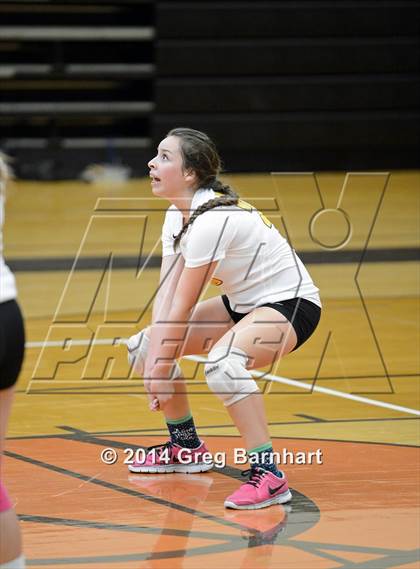 Thumbnail 2 in Rio Linda @ Yuba City photogallery.