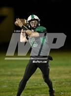 Photo from the gallery "Williams @ Biggs"