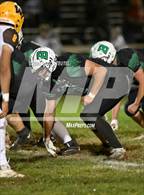 Photo from the gallery "Williams @ Biggs"