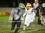 Photo from the gallery "Williams @ Biggs"