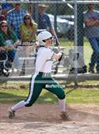 Photo from the gallery "Lipan @ Santo"