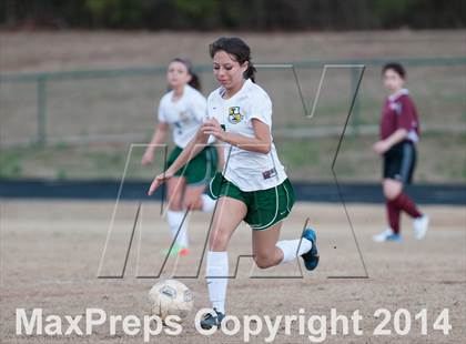 Thumbnail 3 in West Mecklenburg @ Independence photogallery.