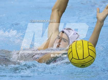 Thumbnail 1 in Boerne-Champion @ Brandeis photogallery.