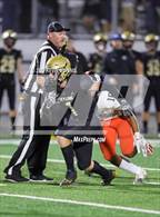 Photo from the gallery "Brighton @ Skyline"