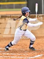 Photo from the gallery "Elysian Fields @ New Diana (Dawg Fight Tournament)"