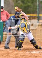 Photo from the gallery "Elysian Fields @ New Diana (Dawg Fight Tournament)"