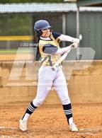 Photo from the gallery "Elysian Fields @ New Diana (Dawg Fight Tournament)"