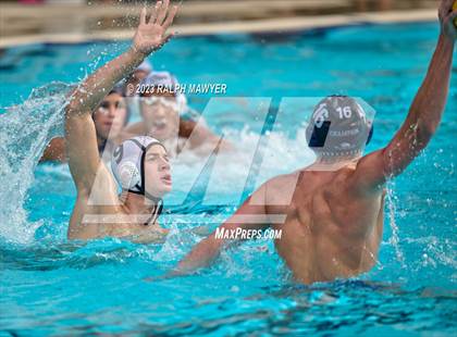 Thumbnail 1 in Boerne-Champion @ Clark photogallery.