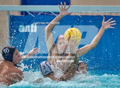 Thumbnail 1 in Boerne-Champion @ Clark photogallery.