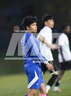 Photo from the gallery "Aurora Central @ Alameda"