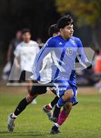 Photo from the gallery "Aurora Central @ Alameda"