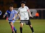 Photo from the gallery "Aurora Central @ Alameda"
