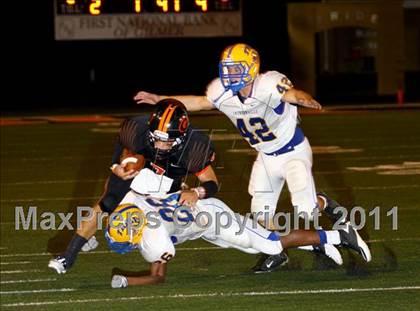 Thumbnail 2 in Jacksonville @ Gilmer photogallery.