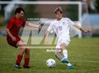 Photo from the gallery "York @ Wells"