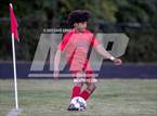 Photo from the gallery "York @ Wells"