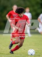 Photo from the gallery "York @ Wells"