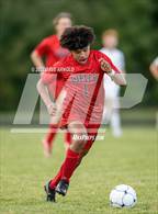 Photo from the gallery "York @ Wells"