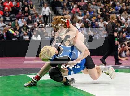 Thumbnail 2 in CHSAA State Championship - 4A Consolation Semifinal photogallery.