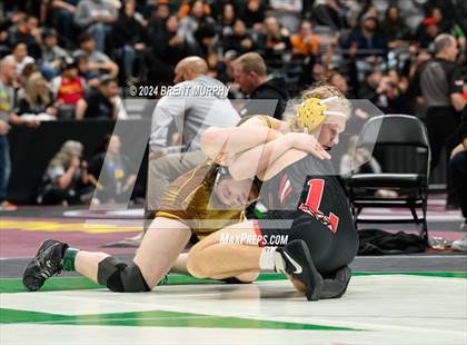 Thumbnail 3 in CHSAA State Championship - 4A Consolation Semifinal photogallery.