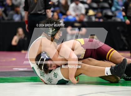 Thumbnail 1 in CHSAA State Championship - 4A Consolation Semifinal photogallery.