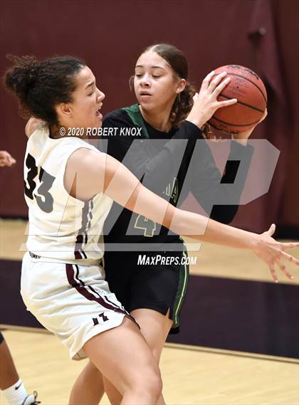 Thumbnail 3 in Basha @ Hamilton photogallery.