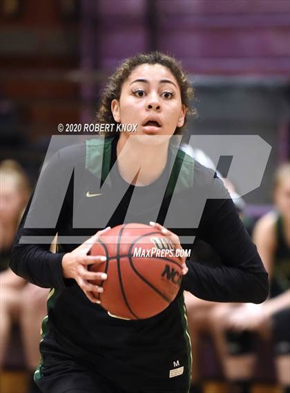 Thumbnail 2 in Basha @ Hamilton photogallery.
