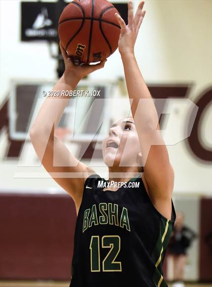 Thumbnail 3 in Basha @ Hamilton photogallery.
