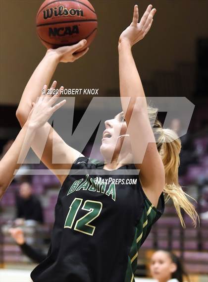 Thumbnail 3 in Basha @ Hamilton photogallery.