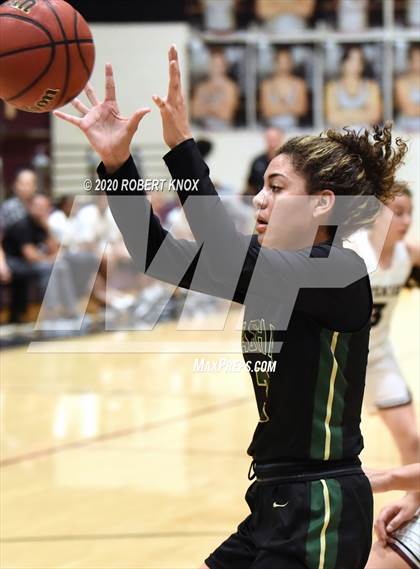 Thumbnail 1 in Basha @ Hamilton photogallery.
