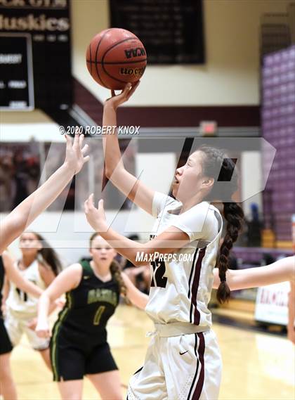 Thumbnail 2 in Basha @ Hamilton photogallery.
