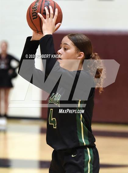 Thumbnail 1 in Basha @ Hamilton photogallery.