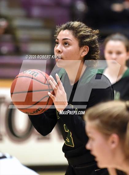 Thumbnail 2 in Basha @ Hamilton photogallery.