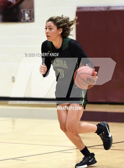 Thumbnail 2 in Basha @ Hamilton photogallery.
